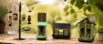 Bird Feeder & Watering Supplies: Practical Accessories for Everyday Bird Care