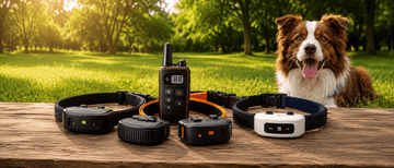 Pet Training Collars: Practical Accessories for Everyday Pet Care