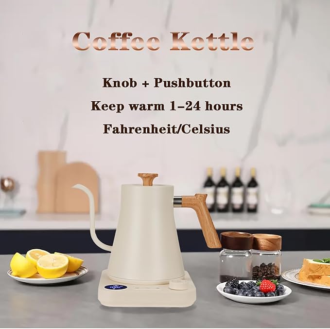 0.9 Litre Electric Kettle with Adjustable Temperature Control