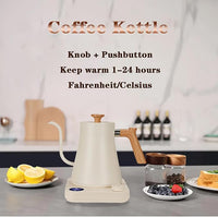0.9 Litre Electric Kettle with Adjustable Temperature Control