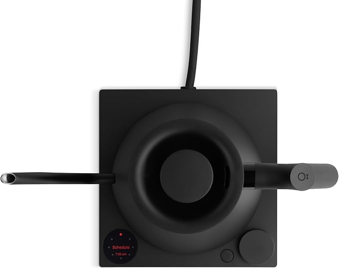 0.9 Litre Electric Kettle with Temperature Control