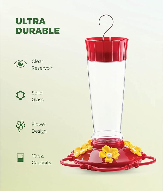 10 oz capacity glass bird feeder detail