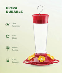 10 oz capacity glass bird feeder detail