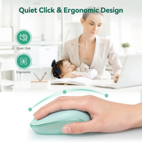 2.4GHz cordless mouse for Chromebook laptop and desktop computer