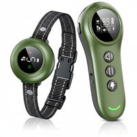 2-in-1 Remote Dog Training Collar With Adjustable Strap