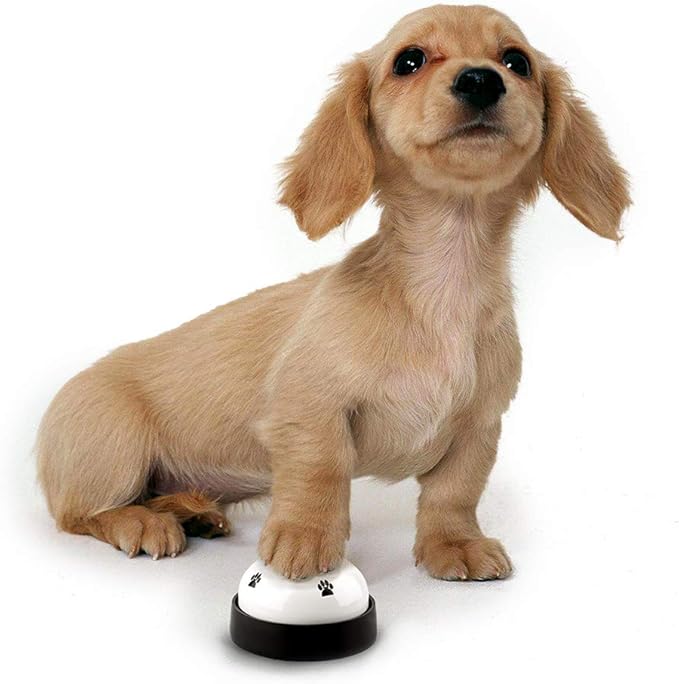 2-pack pet signal bells with rubber base
