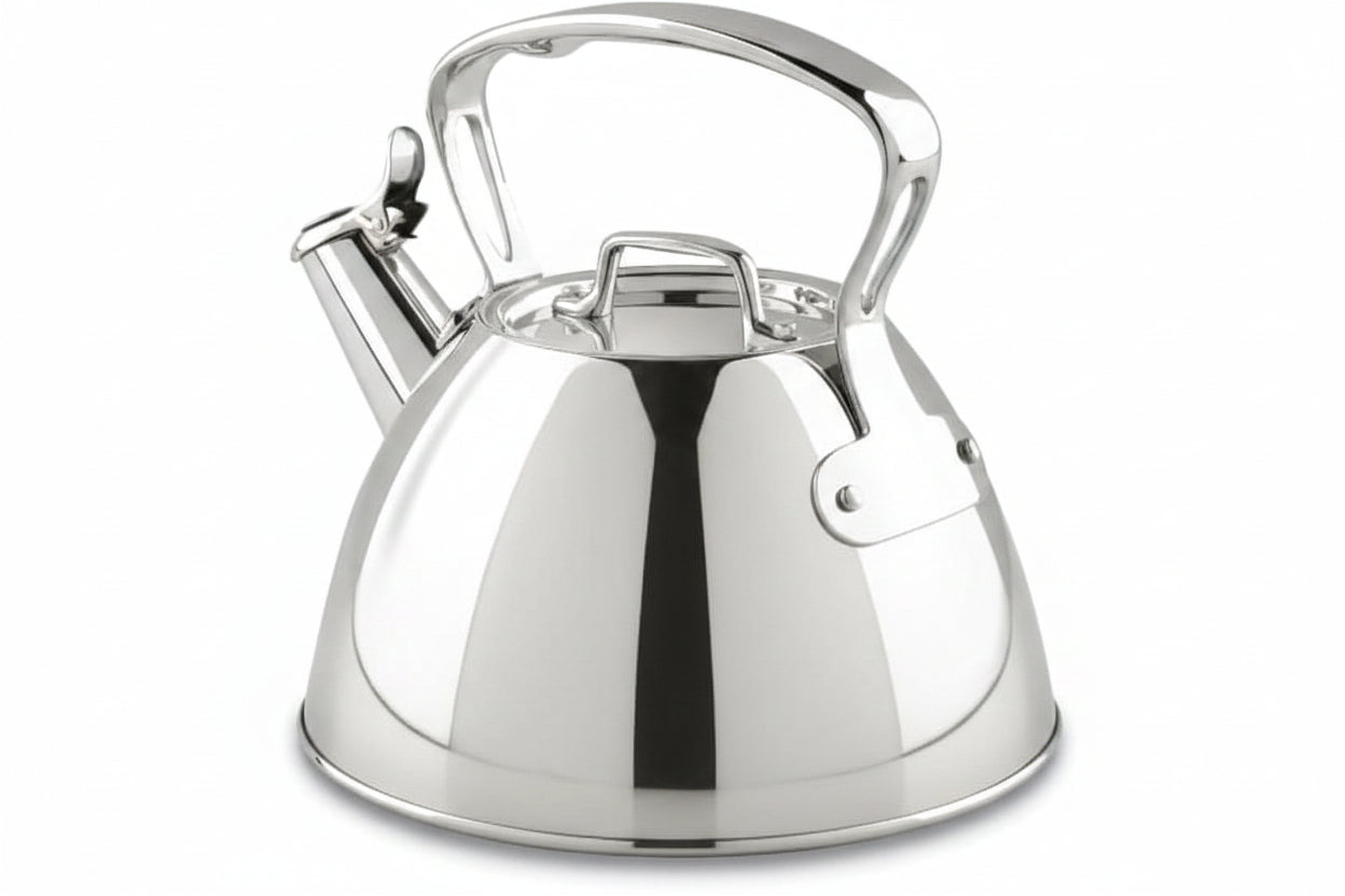 2-quart stainless steel tea kettle with silver finish