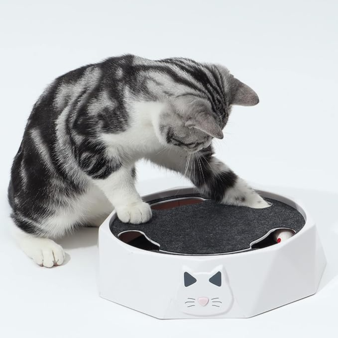 2 Speed Interactive Cat Toy with Automatic Movement
