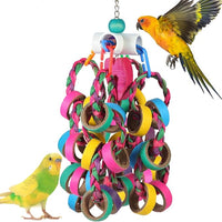 24 piece colorful bird toy rings for parrots, conures, cockatiels, and parakeets