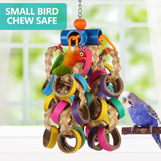 24 Piece Bird Toy Set with Colorful Rings for Parrots and Small Birds