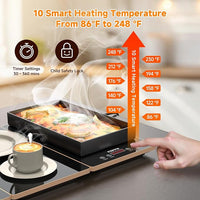 240W electric food warming tray for tabletop serving