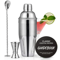 24oz stainless steel cocktail shaker with mixing accessories