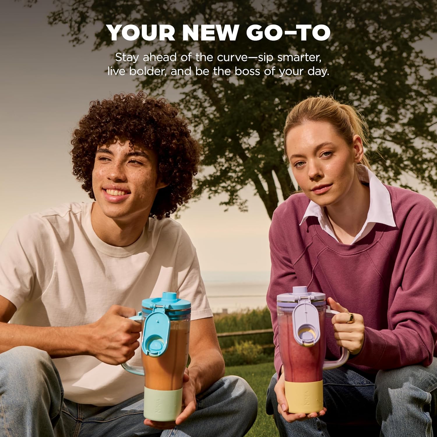 powerful personal blender for fruits