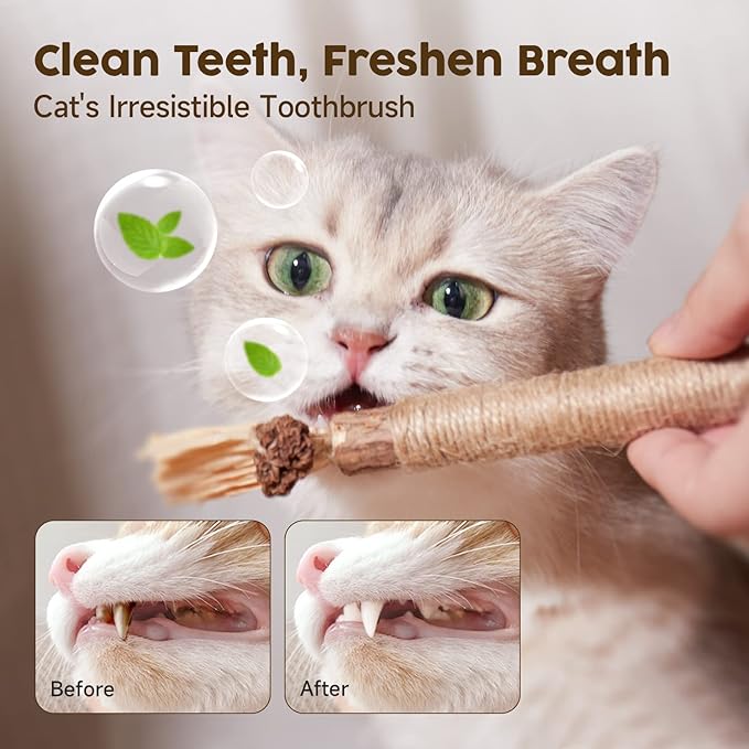 Interactive Pet Tunnel for Cats, Kittens, and Puppies with Peek Hole
