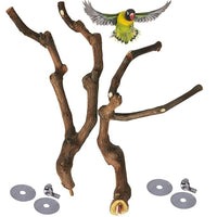 3 Piece Natural Wood Bird Cage Perch Set for Small Birds Indoor Cage Setup
