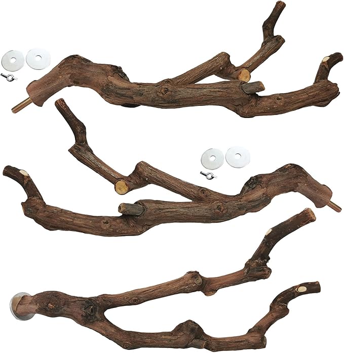 3 piece natural wood bird cage perch set for small birds