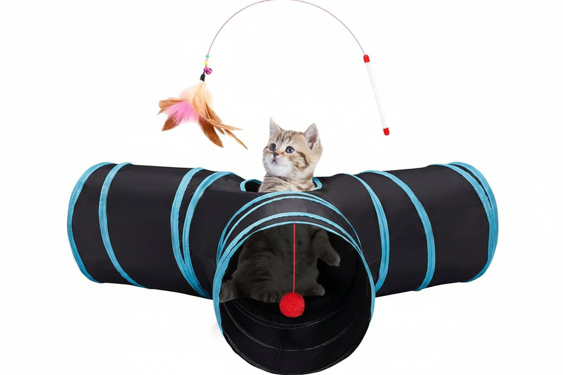 Peek hole and toy ball on indoor cat tunnel toy