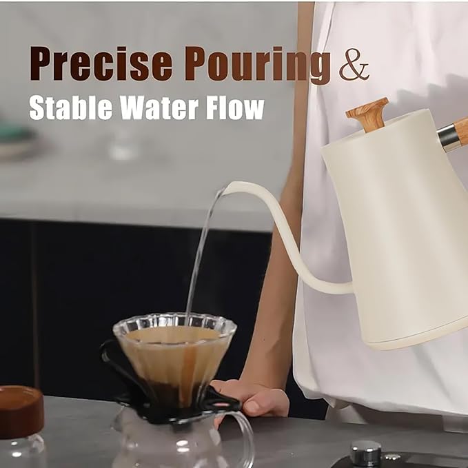 Electric Kettle with 304 Stainless Steel Interior