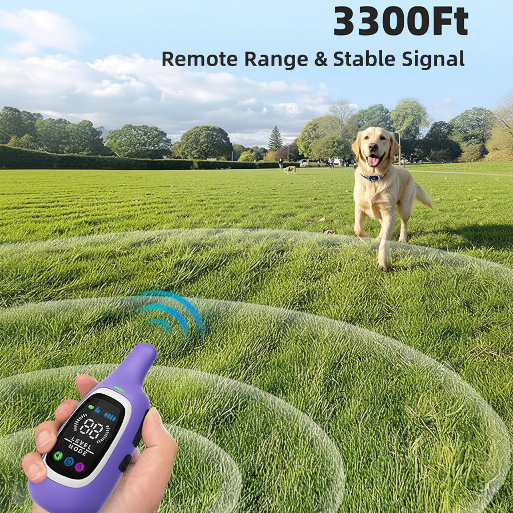 Long Range Dog Training Collar With Remote Controller