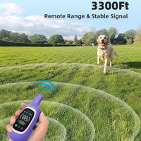 Long Range Dog Training Collar With Remote Controller