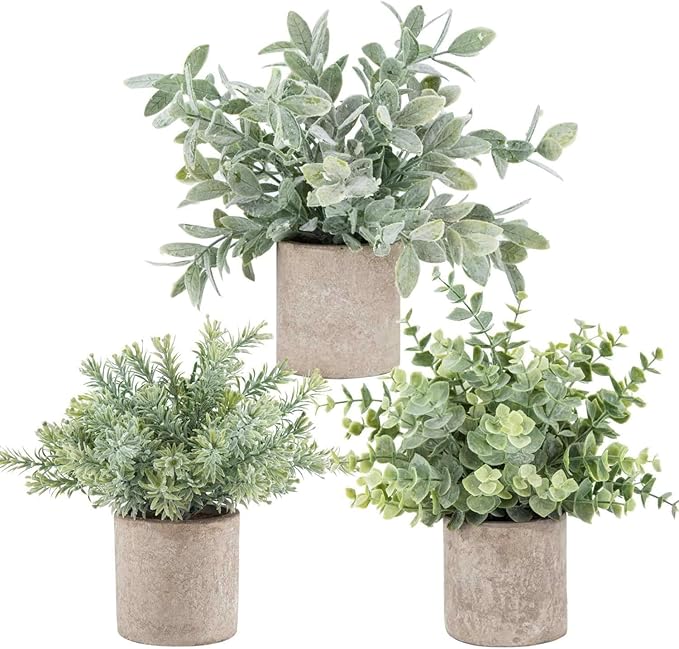Mini Plants