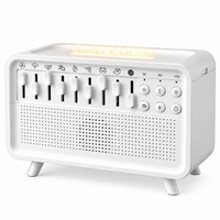 Multifunctional white noise sound machine with humidifier, diffuser, Bluetooth speaker and night light features.