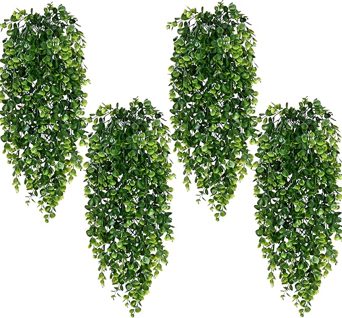 Hanging Plants