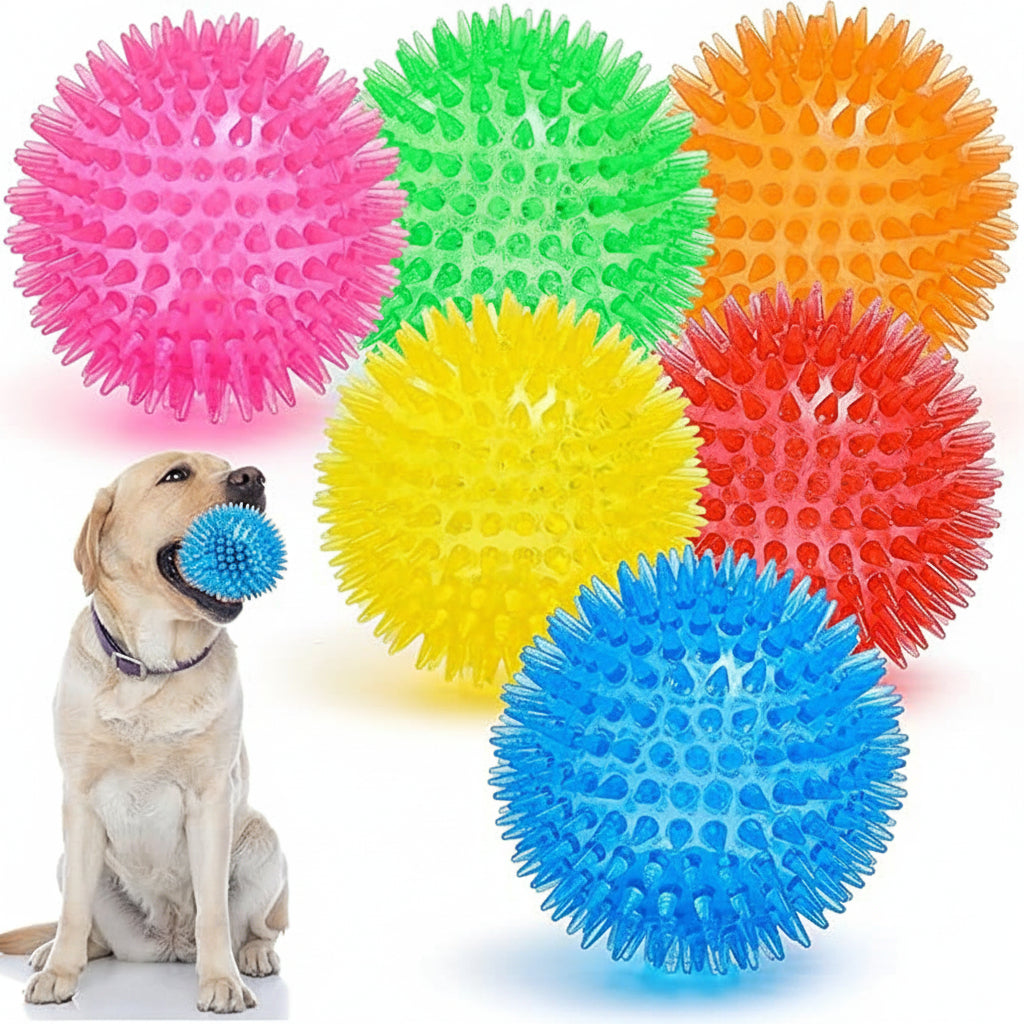 6-pack squeaky dog ball toys with spiky texture