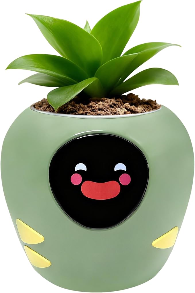 Interactive Smart Planter with Expressive Display