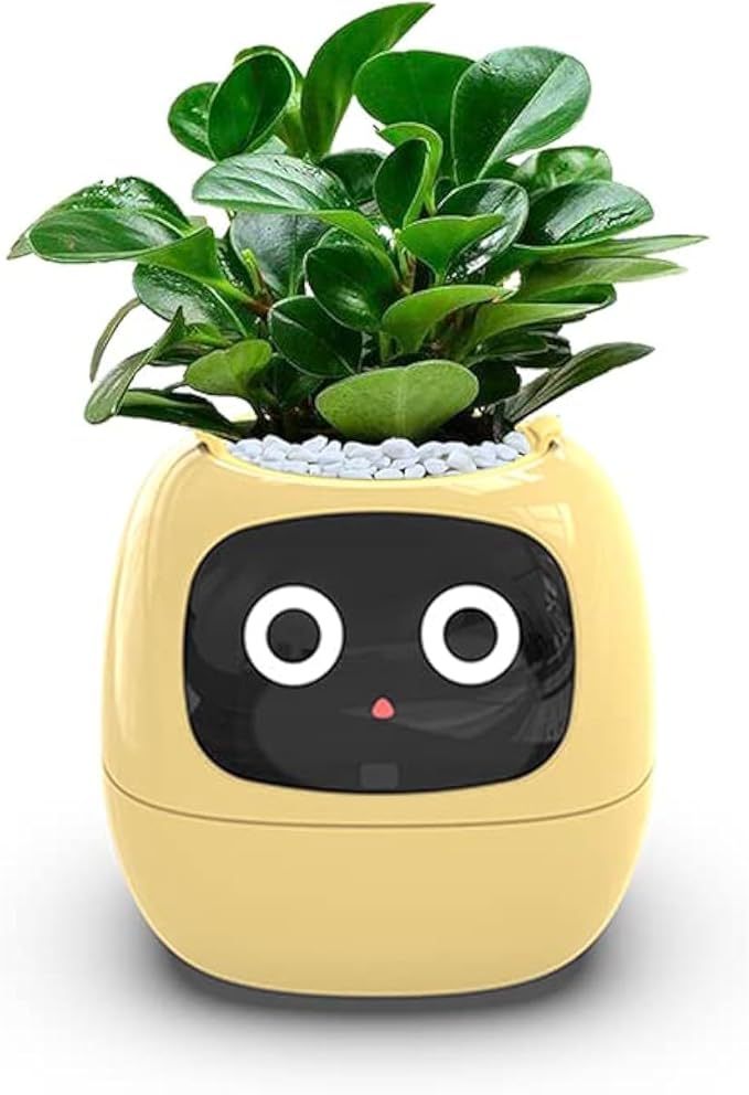 Interactive Smart Planter with Expressive Display