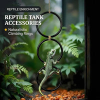 reptile-habitat-accessories-climbing-rings