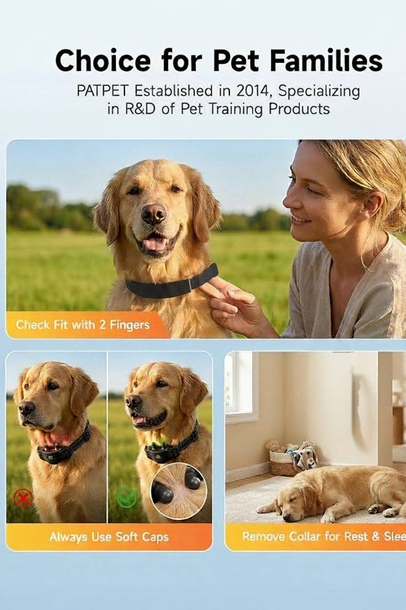 Dog Training Remote And Collar Set With Rechargeable Design