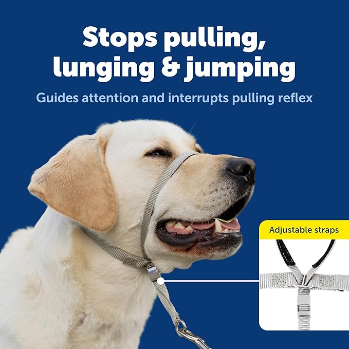 Adjustable dog headcollar with padded nose loop for comfort and safety
