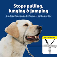 Adjustable dog headcollar with padded nose loop for comfort and safety