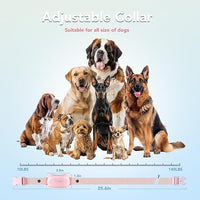 Durable pet neck strap suitable for regular wear