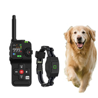 Adjustable dog collar accessory with secure buckle strap