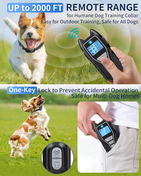 Dog Training Remote And Collar Set