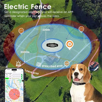 Adjustable pet collar strap for daily walking use