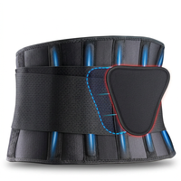 Adjustable Waist Support Belt with removable back pad