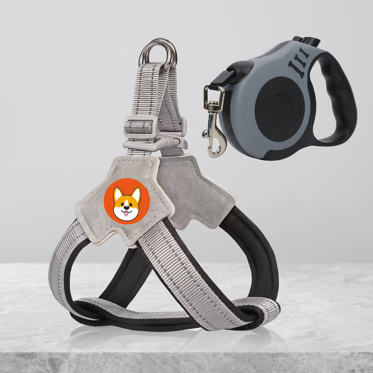 Vest-style dog walking harness with leash