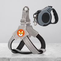 Vest-style dog walking harness with leash
