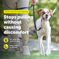 Anti pull dog collar headcollar for training and improved walking behavior