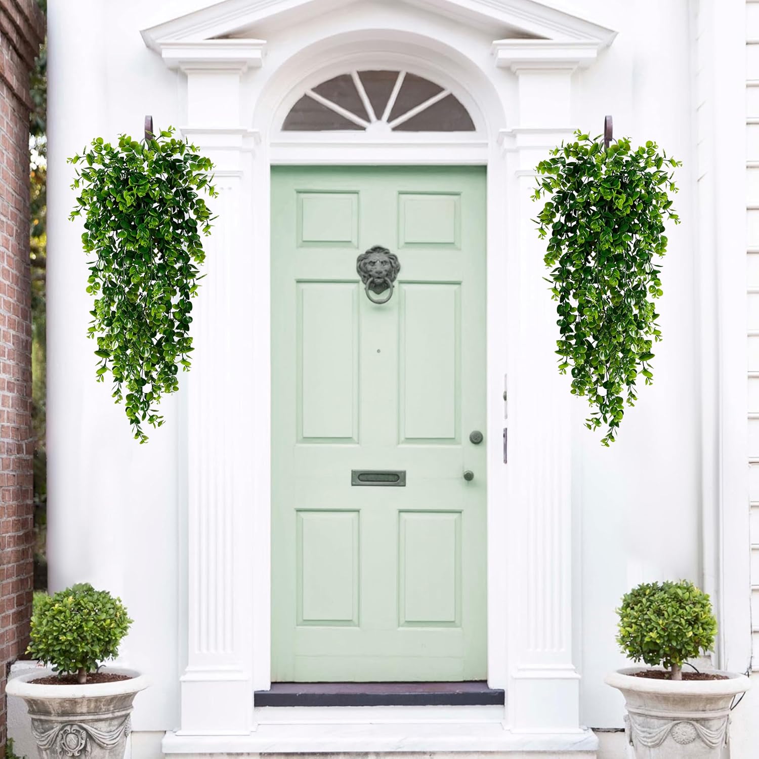 Wall Decor Plants