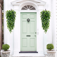 Wall Decor Plants
