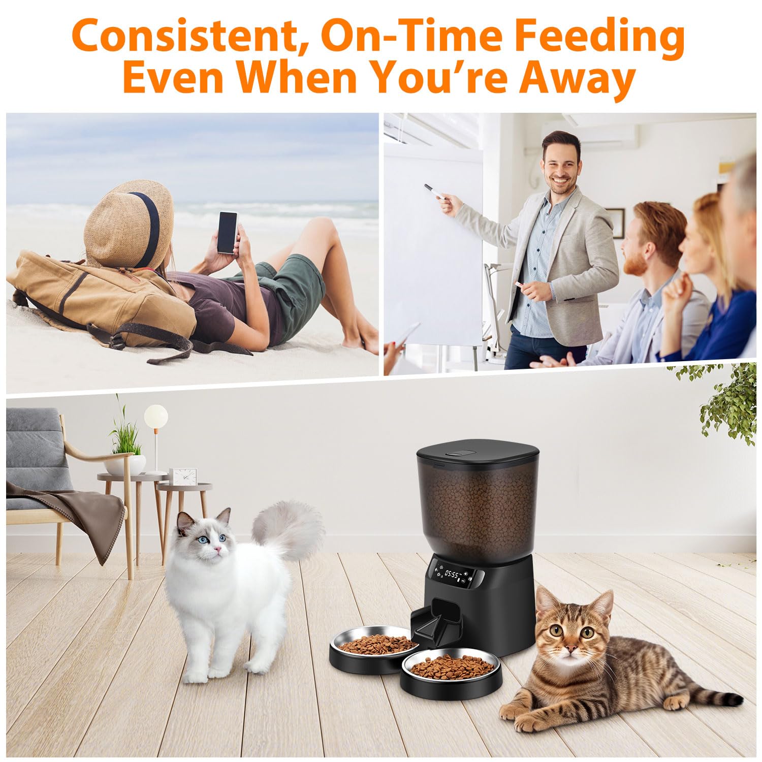 Automatic Cat And Dog Feeder With Large Food Storage Container