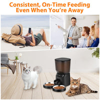 Automatic Cat And Dog Feeder With Large Food Storage Container