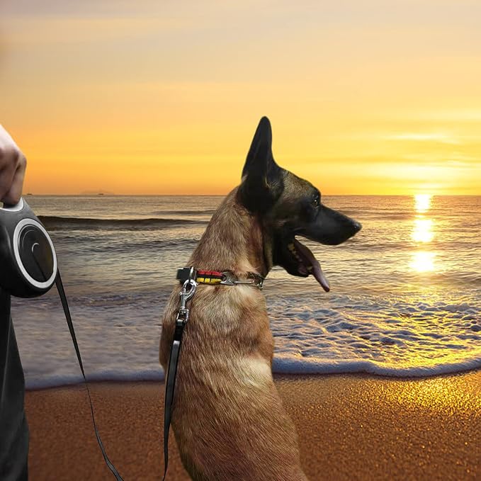 Automatic 8m dog walking lead for outdoor activities