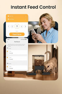 Automatic Pet Feeding Station For Daily Feeding Routine
