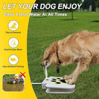 Automatic dog waterer with paw sensor activation