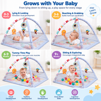 Baby activity mat with raised mesh sides and play arches